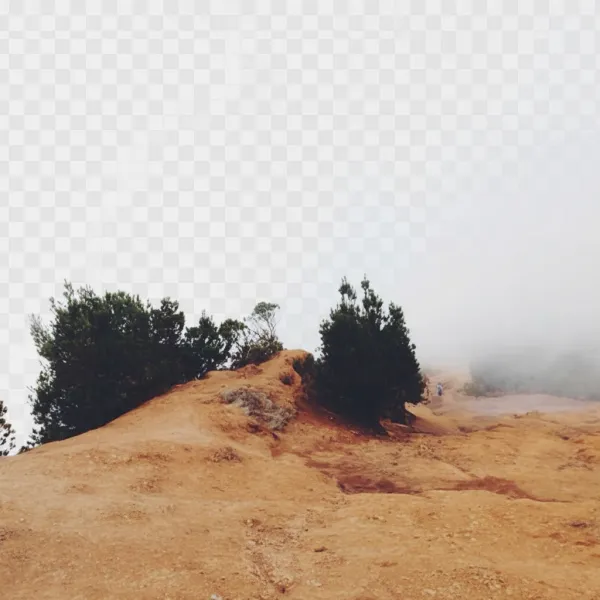 Free AI Background Remover — No Signup Required
